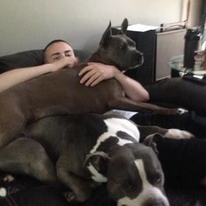 Meet your Posher, Zac